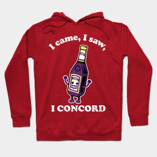 I Came, I Saw, I Concord Hoodie